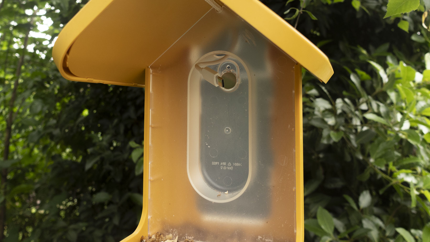 Bird Buddy Smart Bird Feeder camera hanging from a garden tree