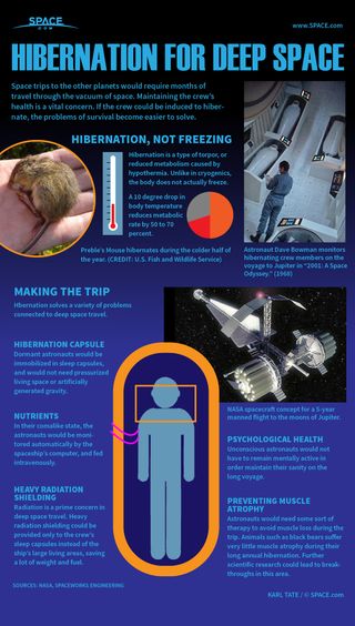 Scientists are hoping to induce an unconscious state in astronauts so that they can be stored in cold capsules for long space flights. See how astronaut hibernation could work in this Space.com infographic.
