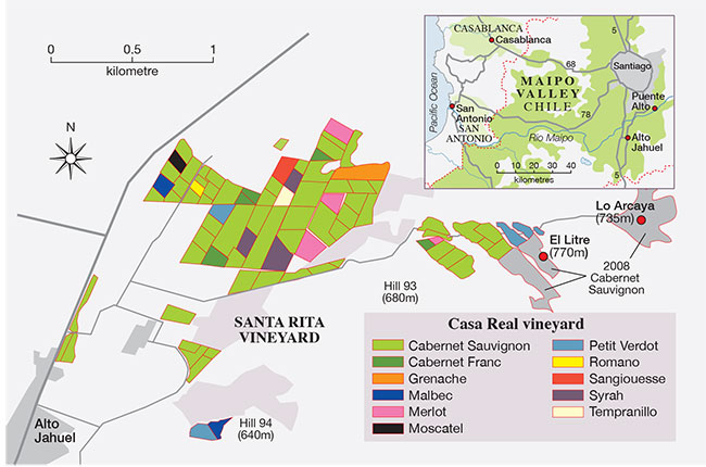 Santa Rita vineyard map