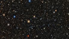 A glistening field of stars against a black background.