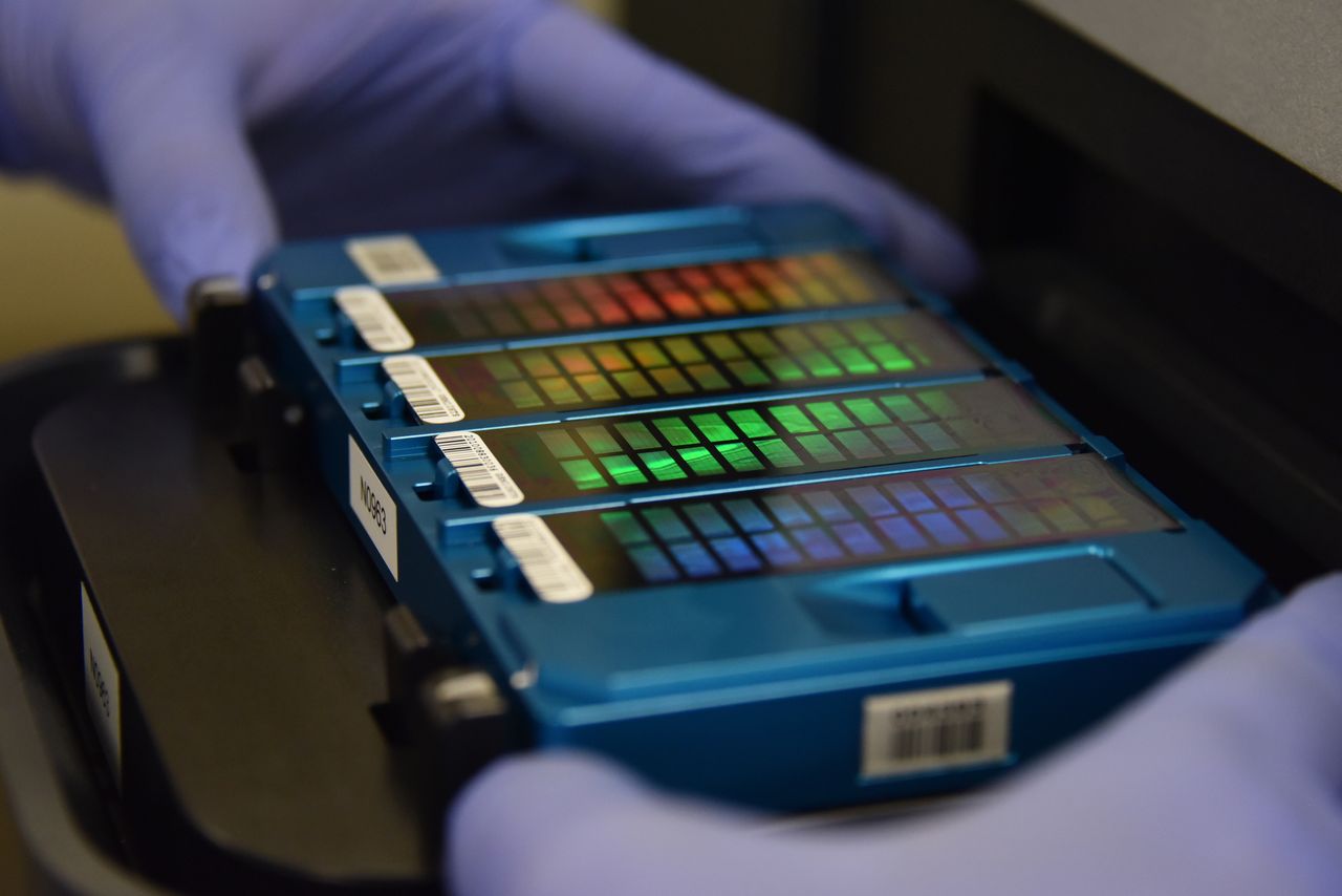 Technician places an array containing DNA information in a scanner.