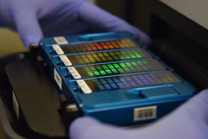 Technician places an array containing DNA information in a scanner.