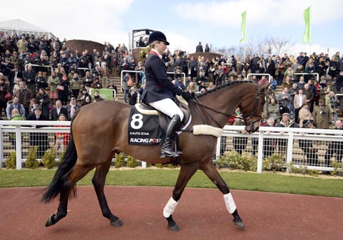 Cheltenham Festival 11 03 2014