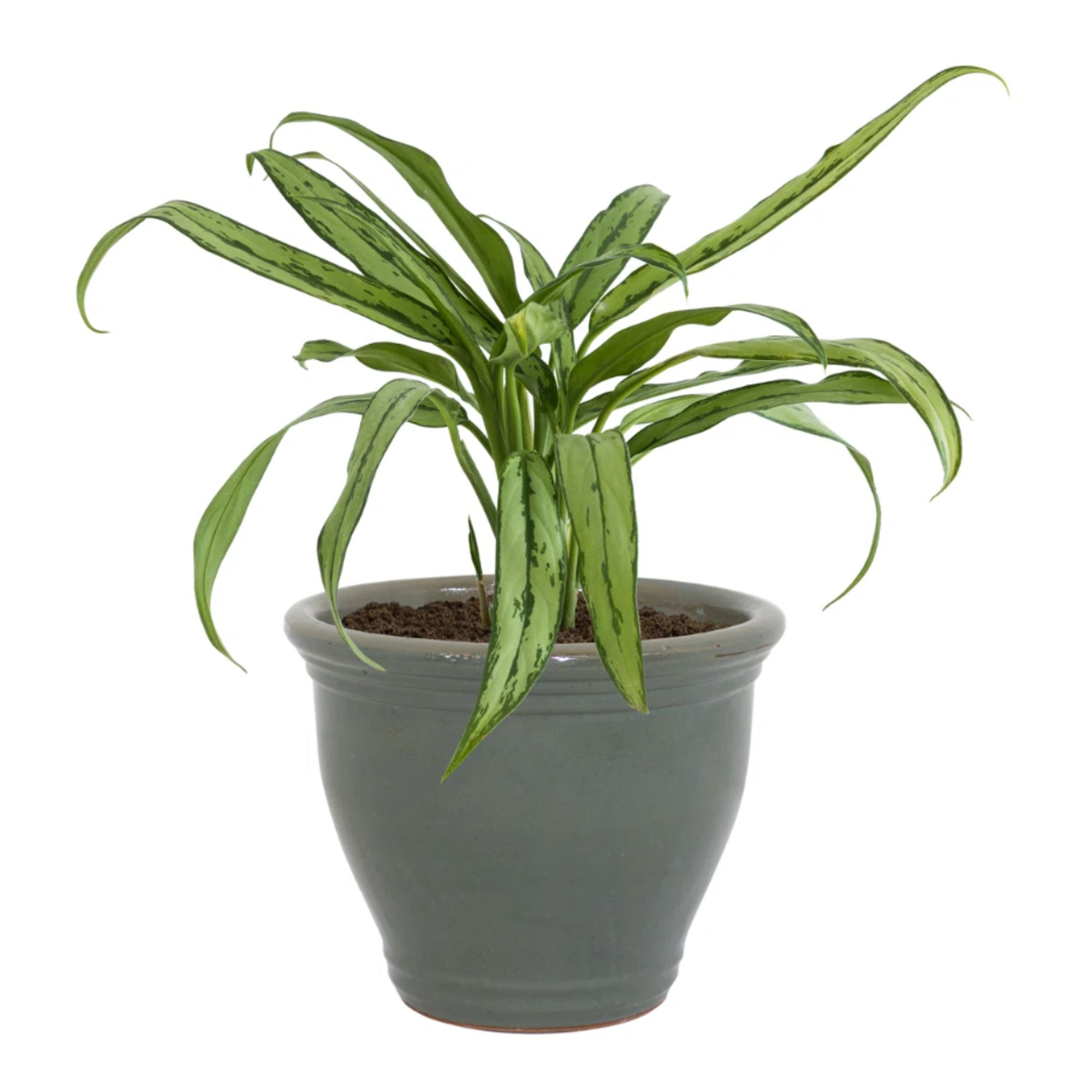 Berlina Round Imperial Ceramic Outdoor Planter
