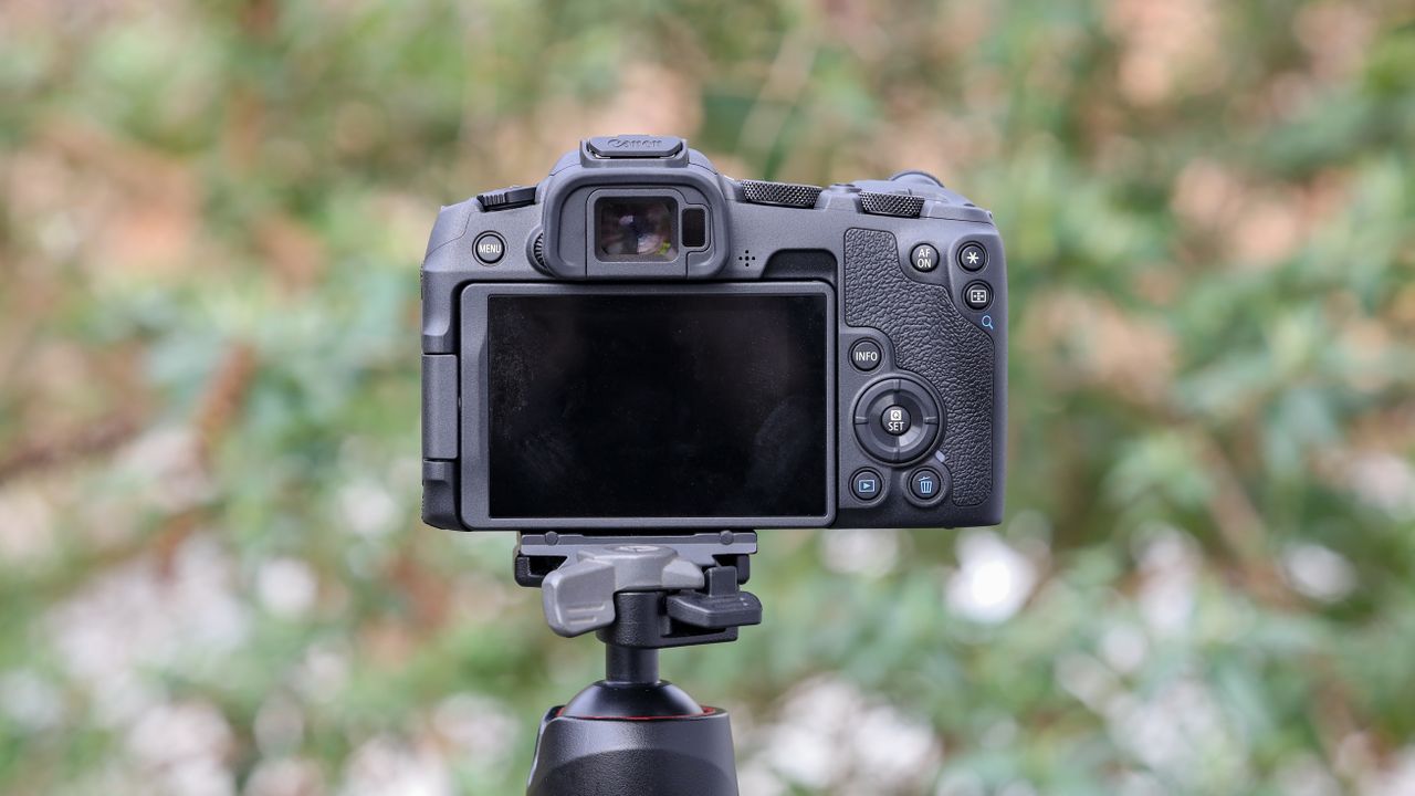 Canon EOS R8 mirrorless digital camera