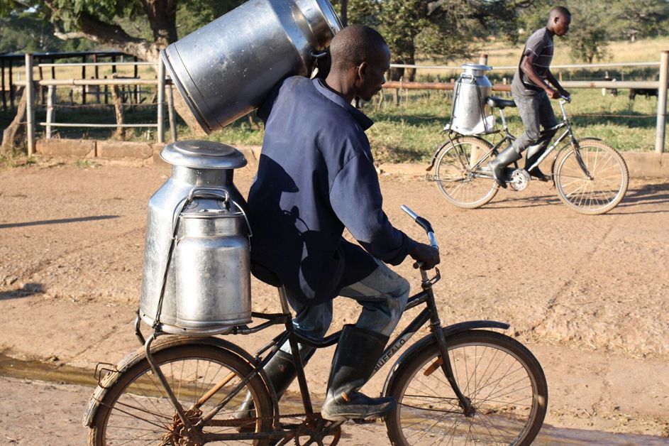 The Buffalo Bicycle also enables small businesses to travel further and with more goods to trade