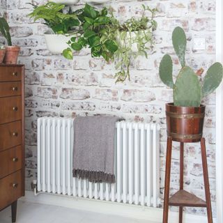 White radiator on a painted white brick wall, with plants above it and a cactus in a plant stand beside it