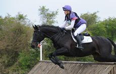 HorseNo320_Withingtonpn_8813.jpg