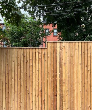 timber privacy fencing - project by Staghorn Living