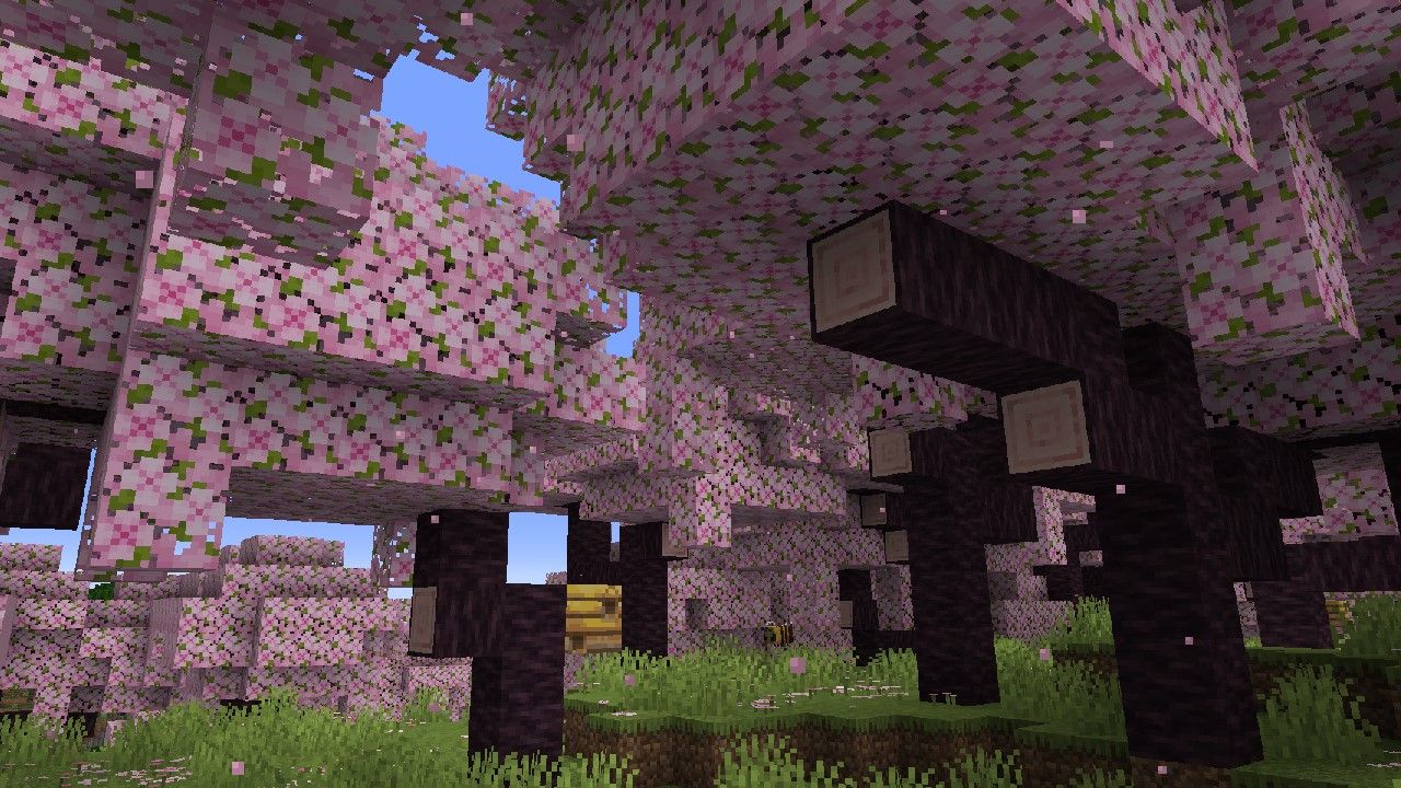 In-game screenshot of the Cherry Blossom biome in Minecraft 1.20.