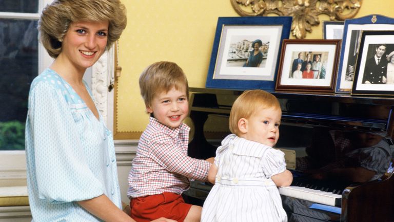 Princess Diana Harry William childhood