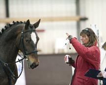 Baileys'_Winter_Jump_Training.jpg