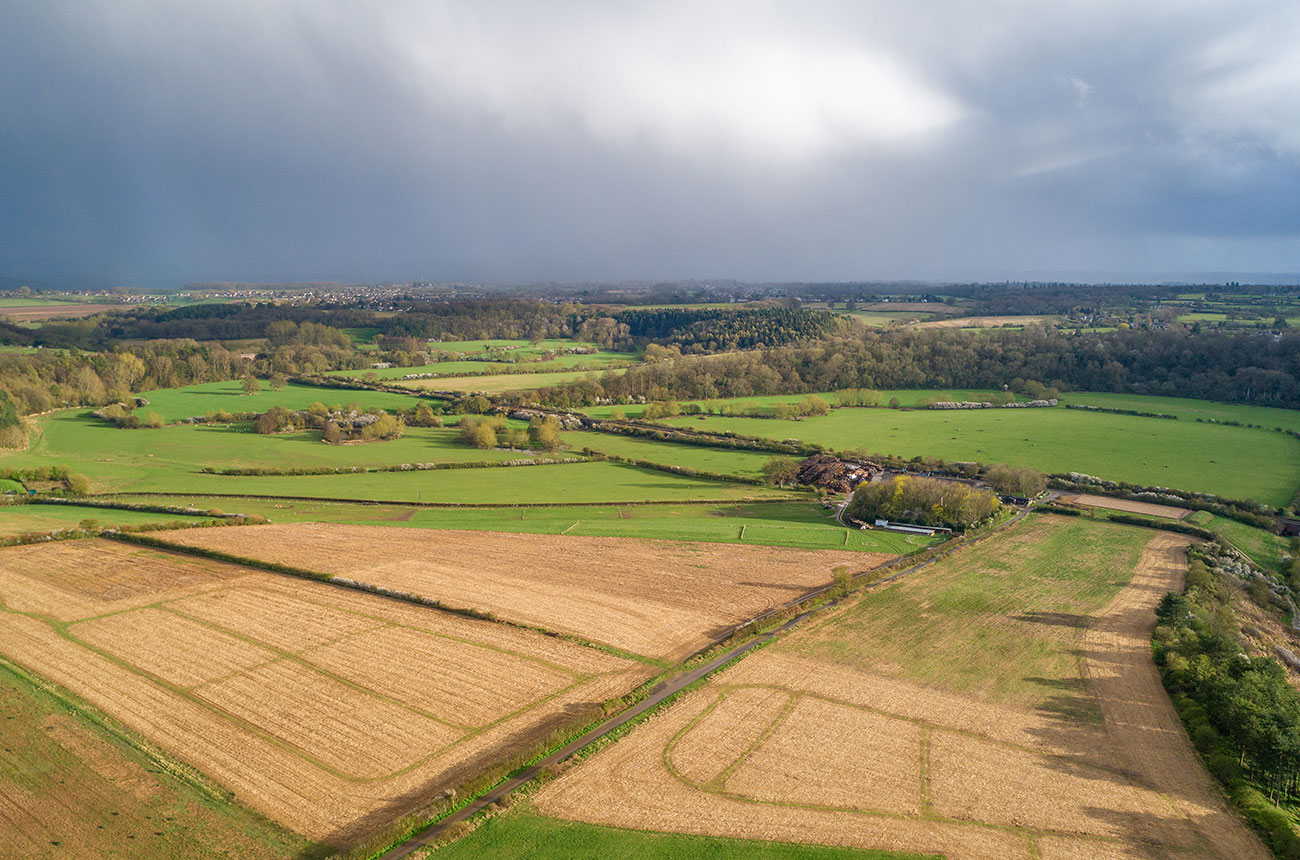 Blenheim Palace estate to get vineyard