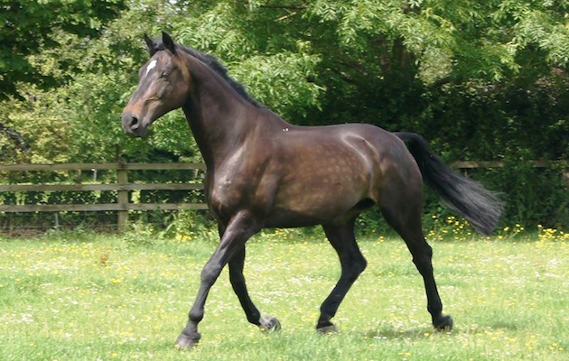 Beaufort-.jpg