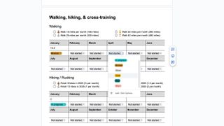 A Google doc file showing my goals for finishing a certain number of hikes and miles walked per year, with bronze, silver, gold, and ace benchmarks for any given month.