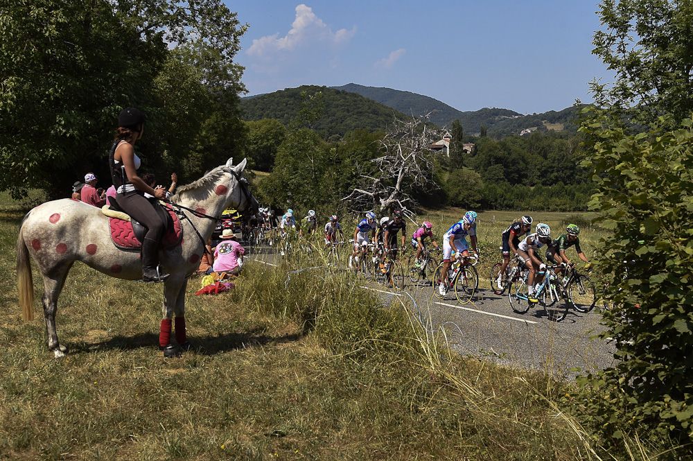 The peloton passes an equine spectator during stage 12.
