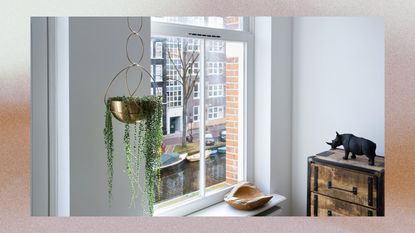 Hanging planter by a window overlooking a river