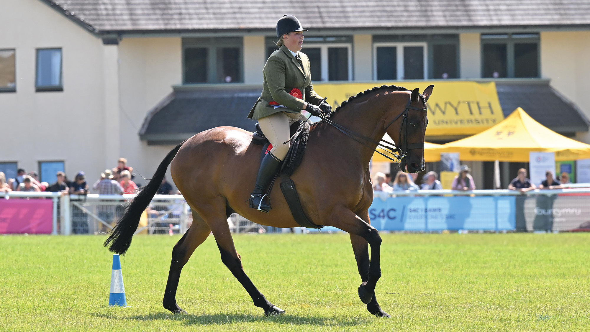 An Cathoir, a bay ex-racehorse, canters around the ring with his owner Victoria Bertorelli on board after they win the lightweight hunters at the Royal Welsh