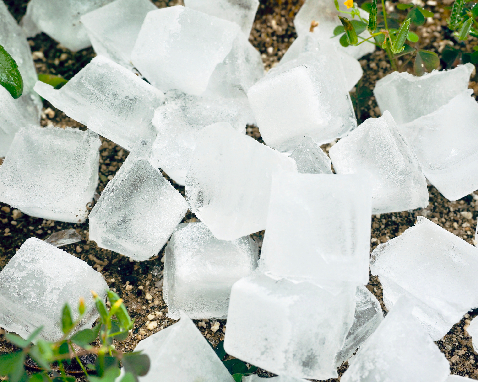 pile of ice cubes on the ground