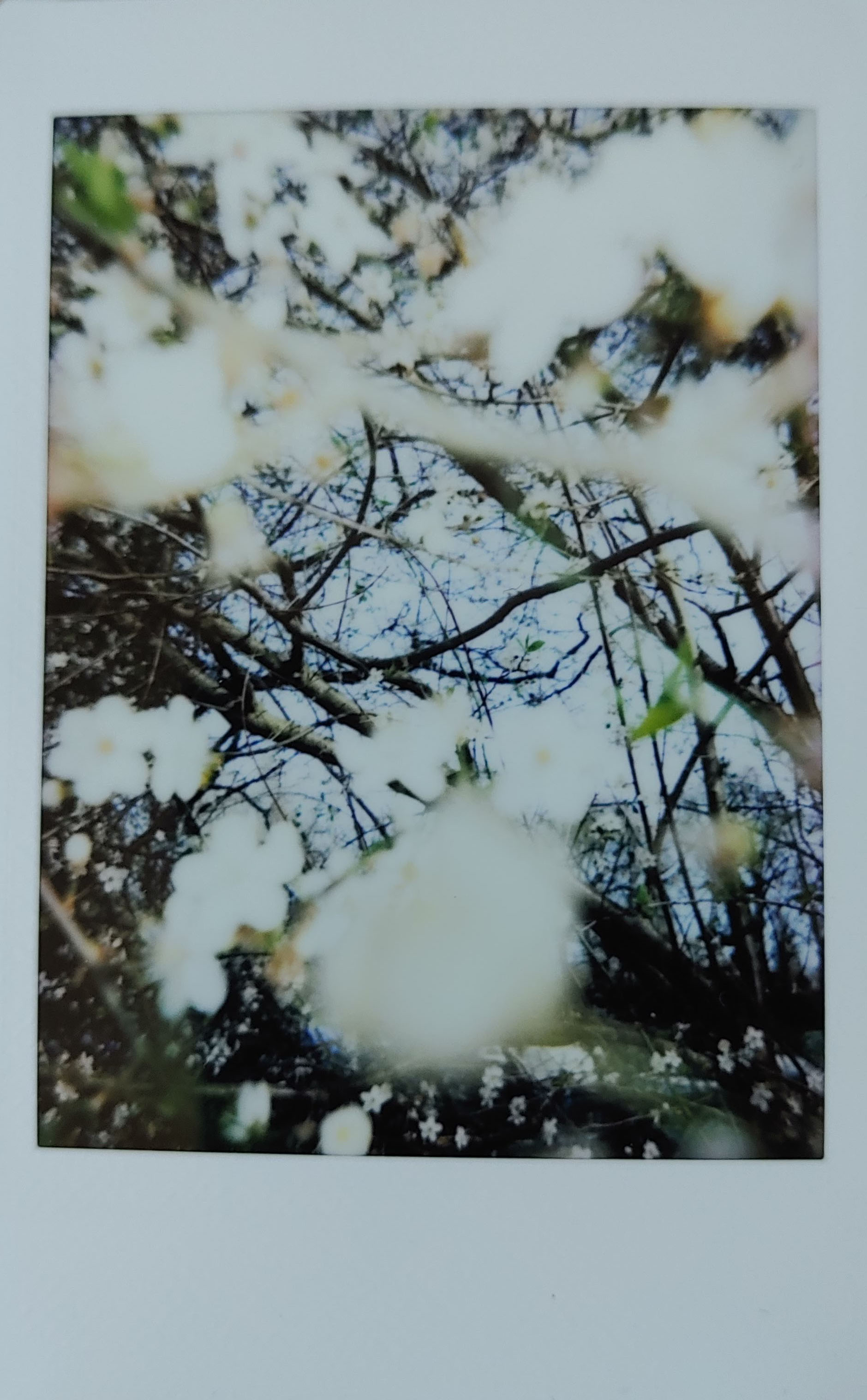 Fujifilm Instax Mini 11