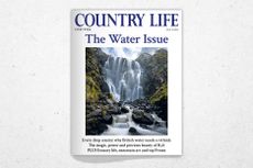 Cover of Country Life 15 July 2026