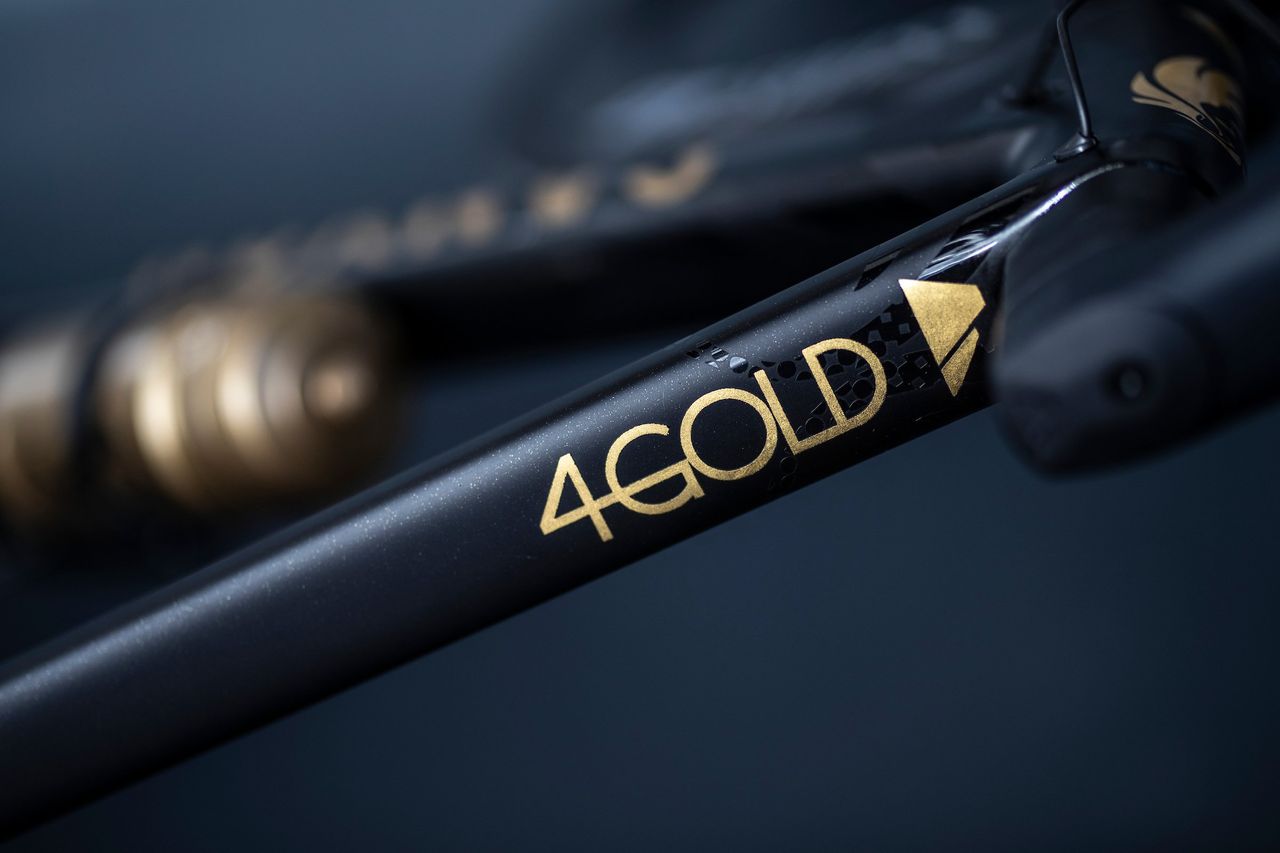 24 karat gold Canyon signed by Mathieu van der Poel