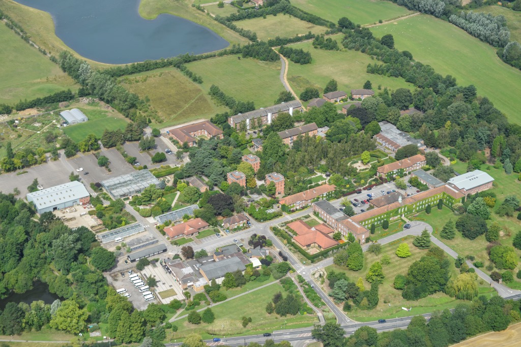 Birdseye View 1