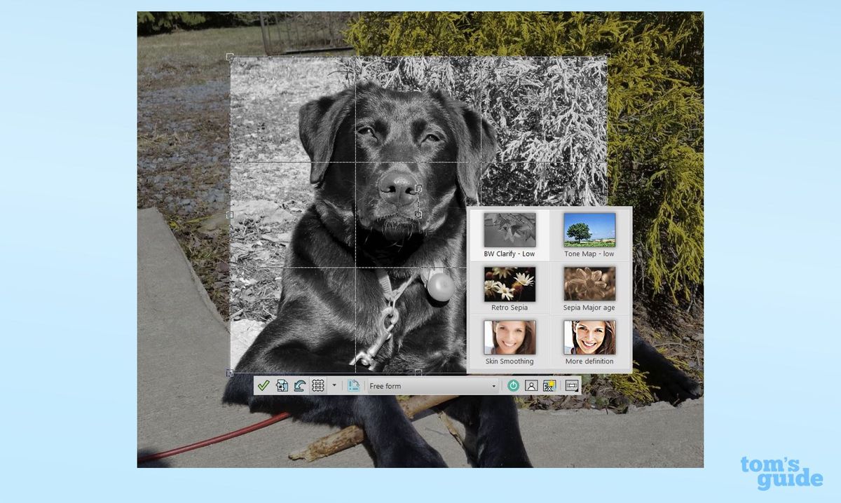 Corel Pro 2019 Full Review Tom's Guide