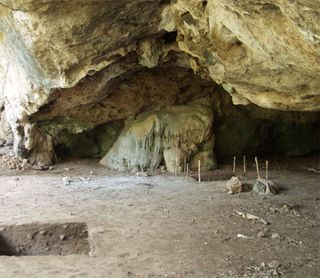 Jerimalai shelter during excavation.