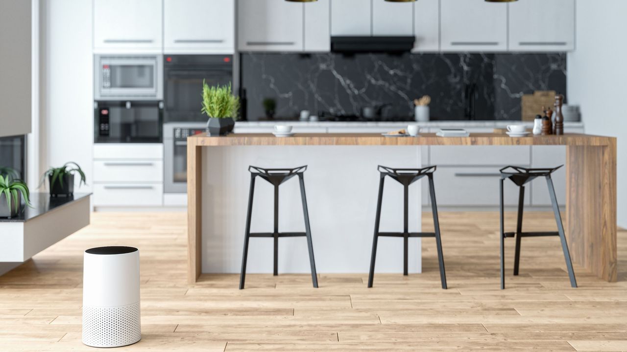 Air purifier in modern kitchen with plants 