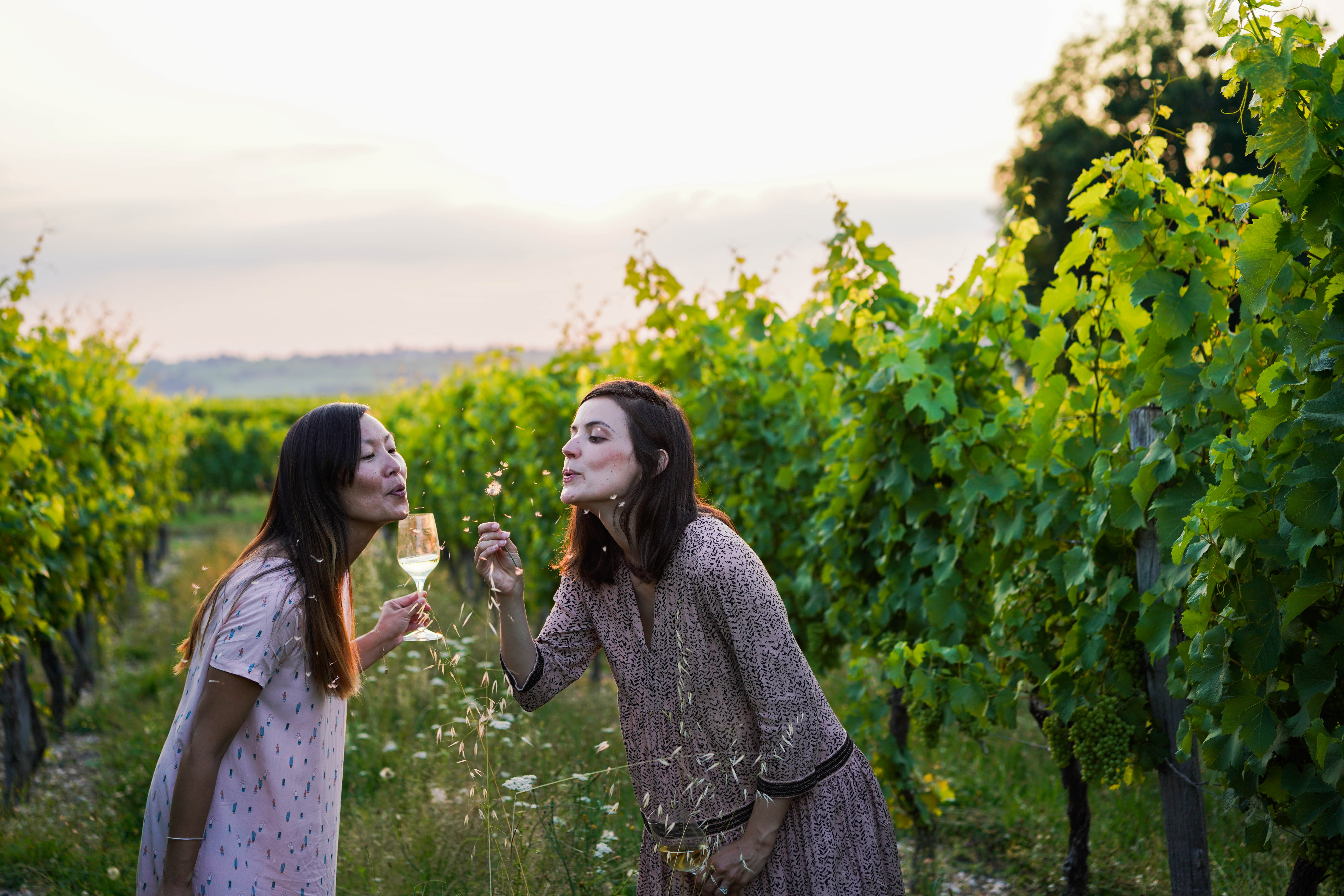 Bordeaux vineyard with two women
