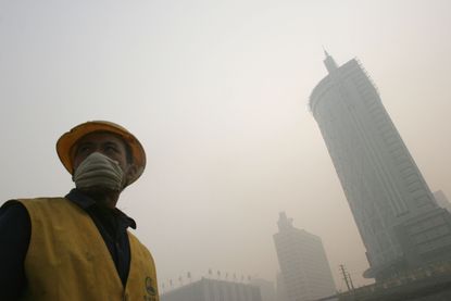 Air pollution kills 7 million people every year, says WHO report