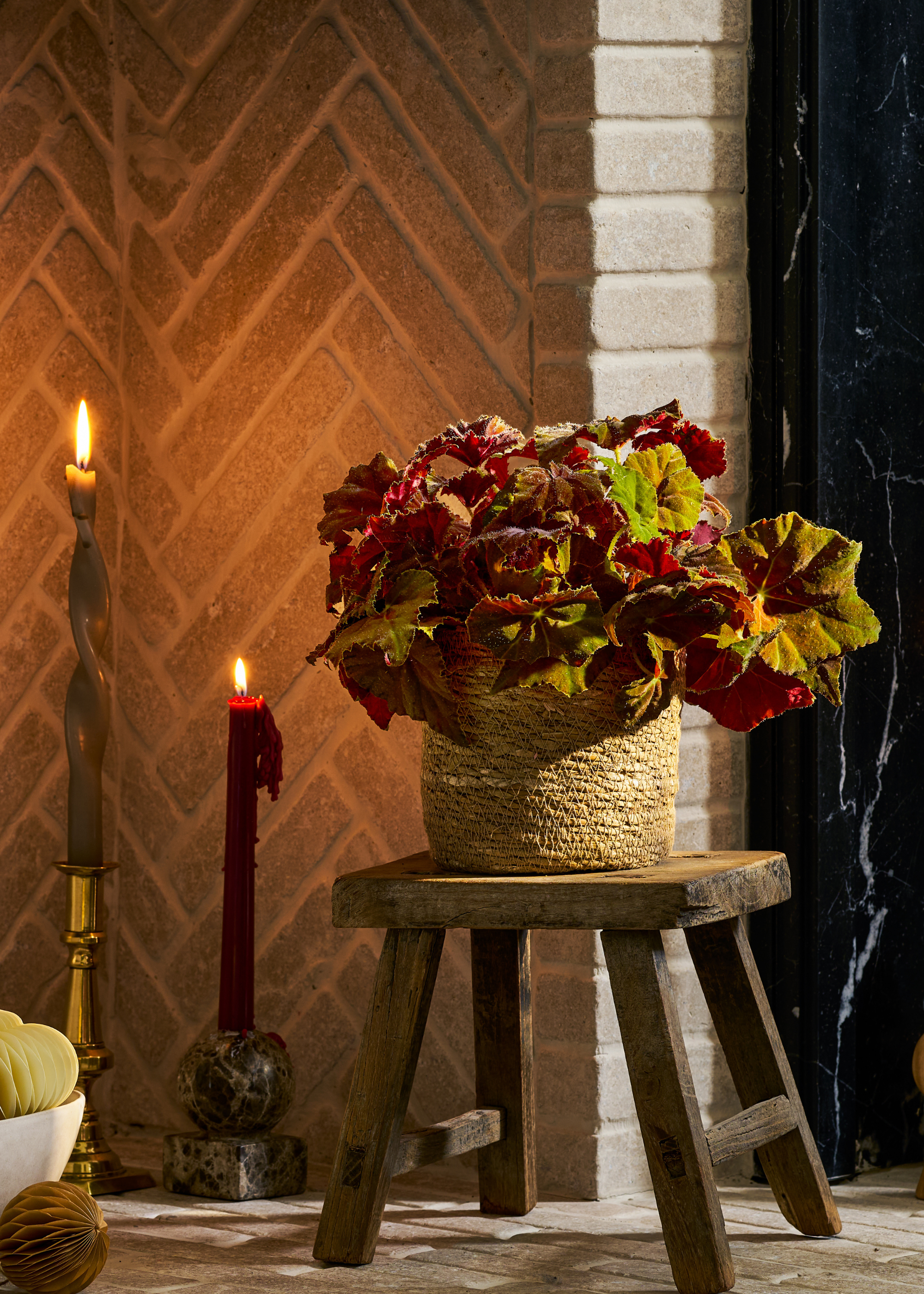 A potted begonia in a woven planter by a fireplace with tapered candles