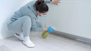 A woman using a chemical spray on fleas