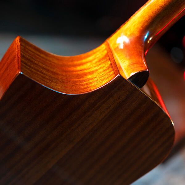 Michael Kelly Guitars Forte Port Jr. Ziricote