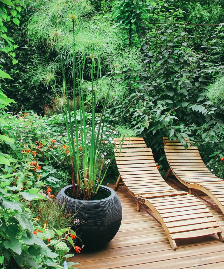 Landscape experts share the secrets to creating an urban Zen garden