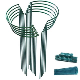Tcbwfy 10 Pack Plant Support Stakes for Peony,10