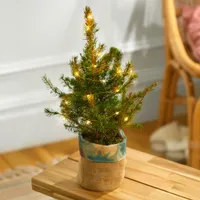 The Minimalist tree, £27, Bloom &amp; Wild