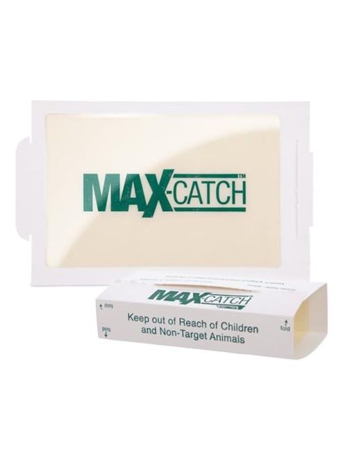 Catchmaster Max-Catch Mouse & Insect Glue Trap 36pk