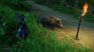 A boar being stalked by a maths whiz in New World.
