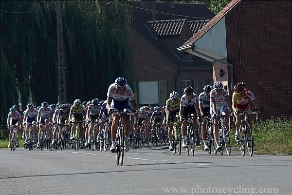 The peloton in full flight.