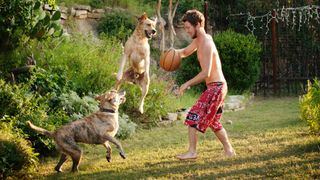 Man playing basketball with dogs on lawn