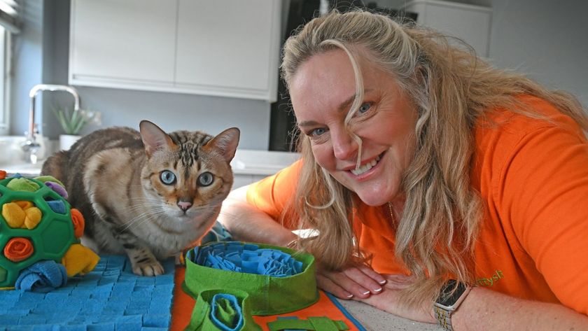 Amanda Campion next to a cat and snuffle mat on a work top