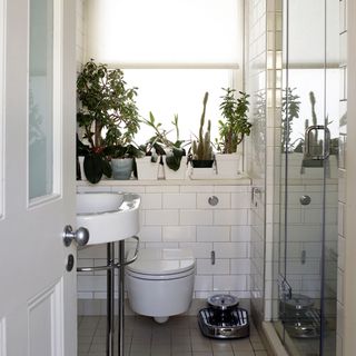 small white country-style bathroom with plants