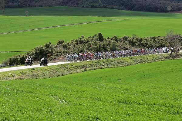 The landscape was a lush green after all the spring rains.