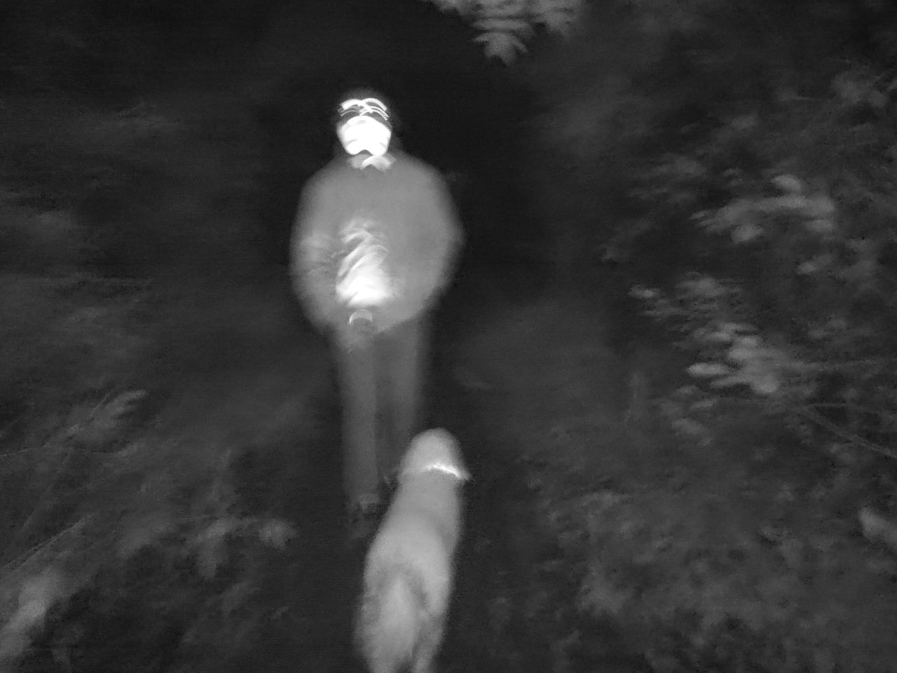 DOOGEE S98 Pro review: Night Vision Camera