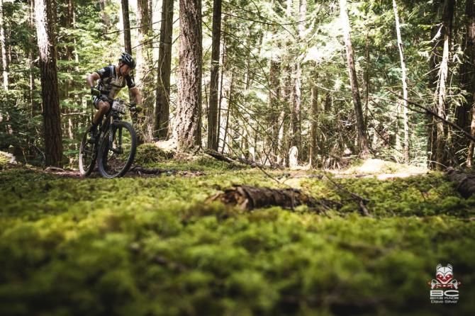 Wherever you go there is moss in British Columbia.