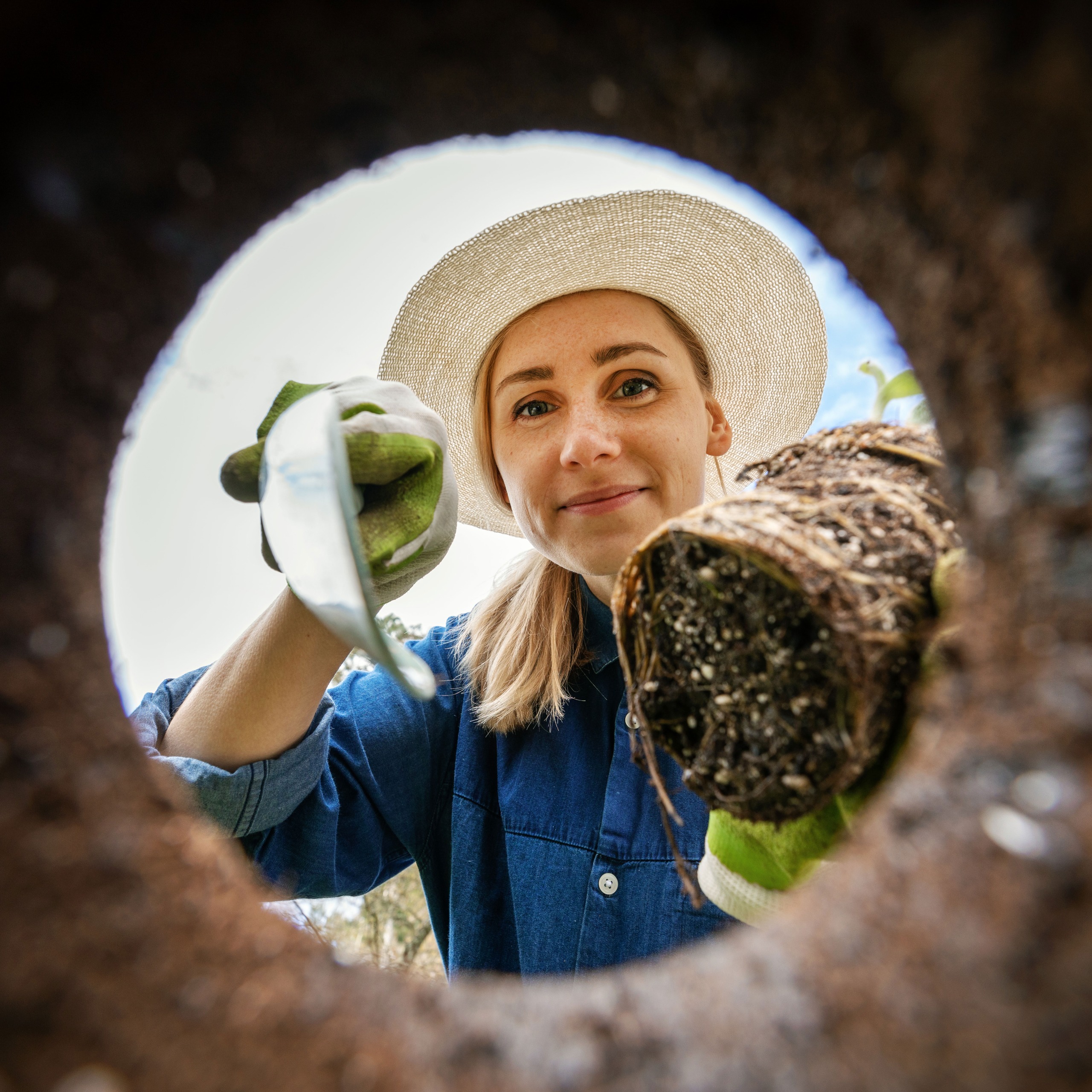 woman placing plant in planting hole while holding trowel as seen from below