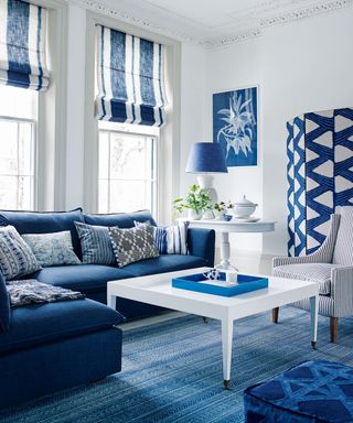 A small living room with a blue and white color palette