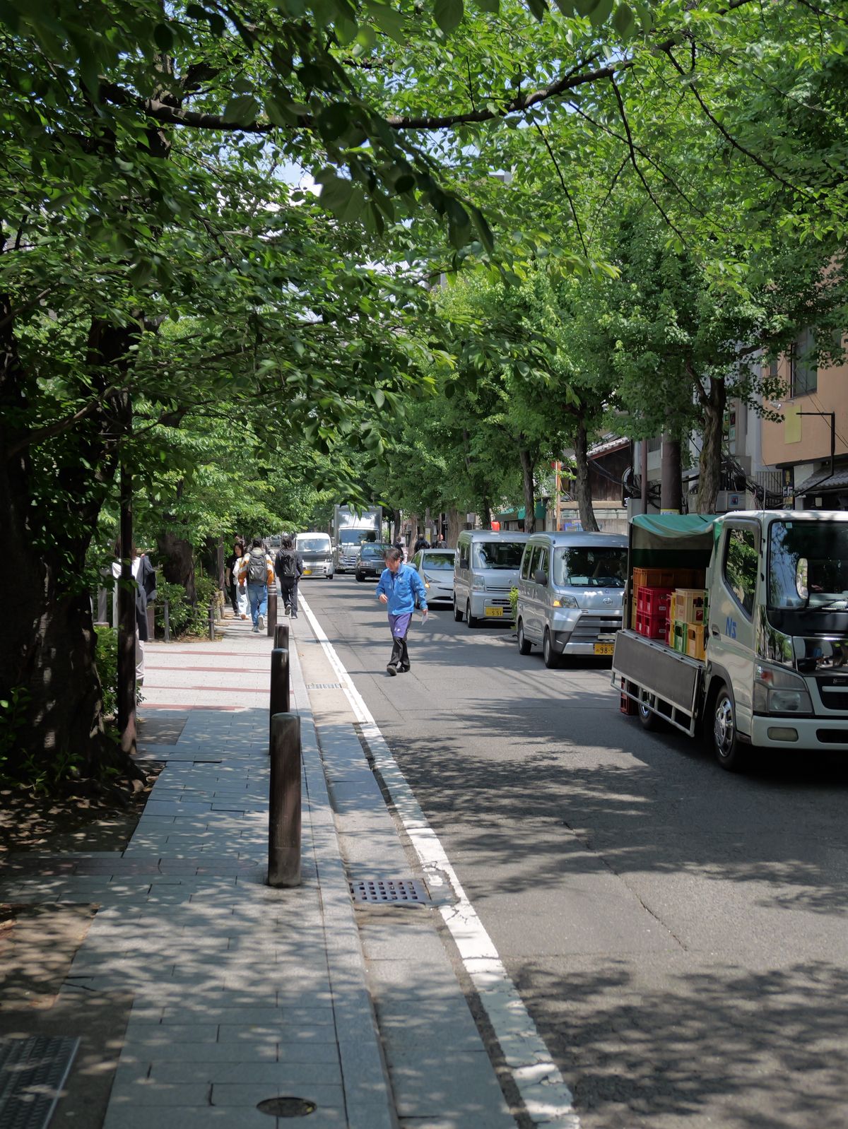 Tree-lined city street with vehicles and pedestrians.
